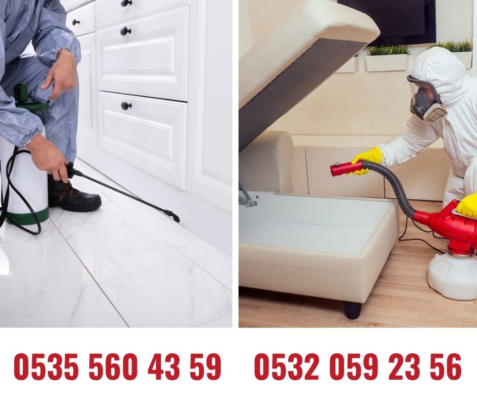 İlaçlama Dezenfeksiyon İzmir